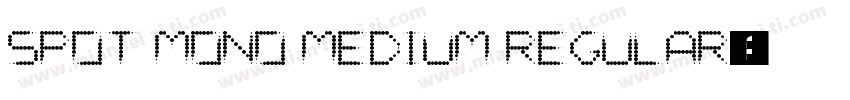 Spot Mono Medium Regular字体转换